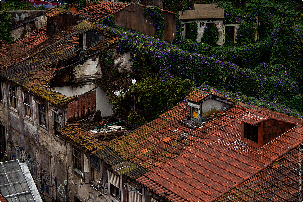 Старый город Порто, Поргугалия. (The Old City of Porto.)