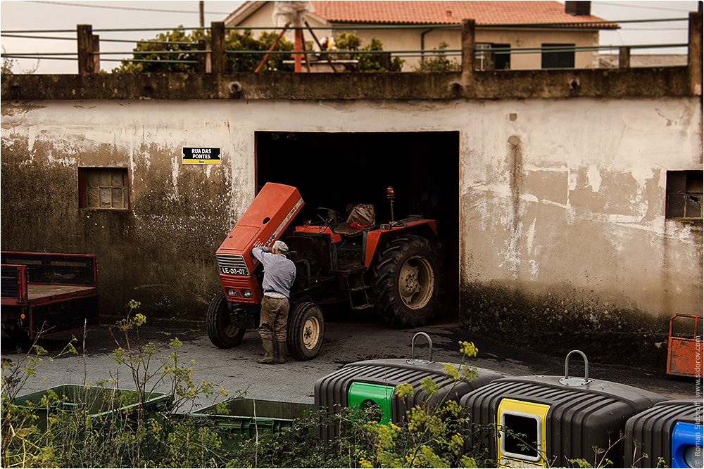 Сельское хозяйство. Трактор. Поргугалия. (Agriculture. Tractor. Portugal.)