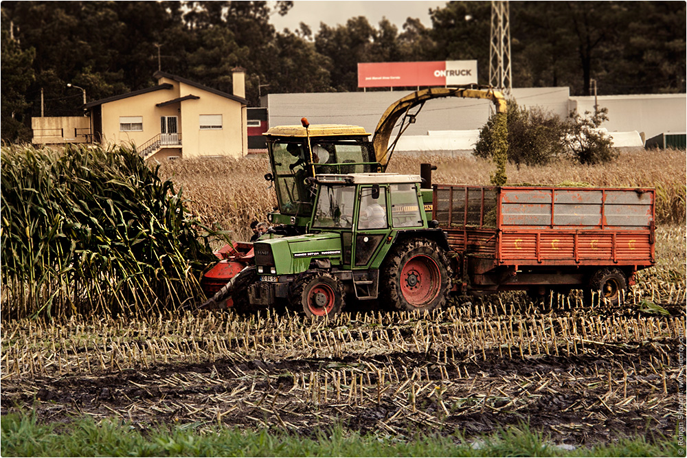 Сельское хозяйство. Трактор. Поргугалия. (Agriculture. Tractor. Portugal.)