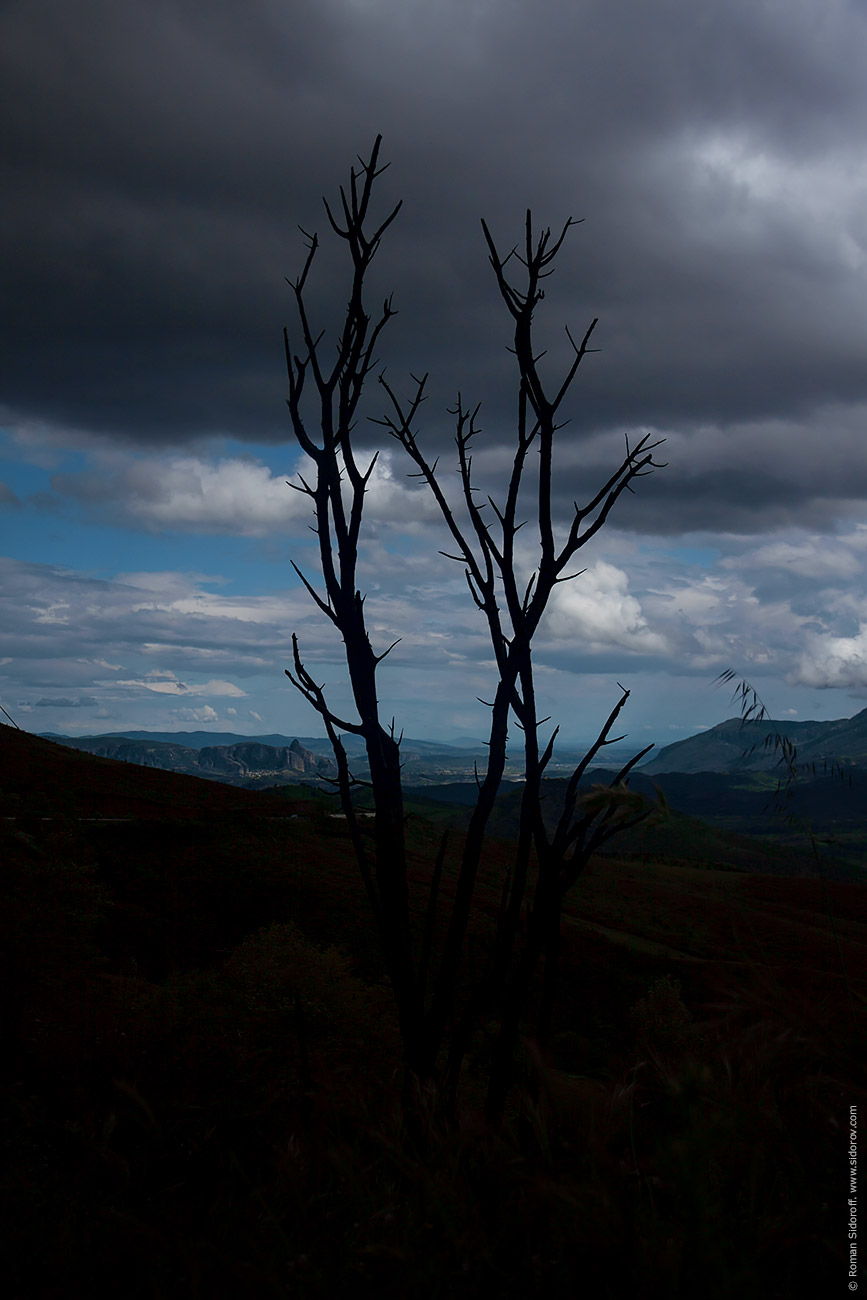 Greece. A Way to Meteora. 2014