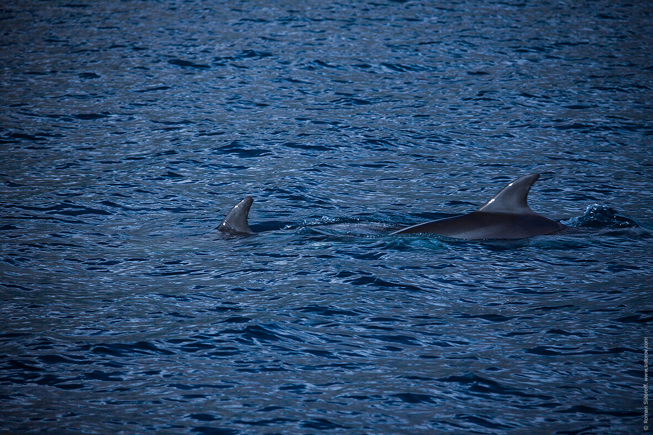 Sailing Greece 2014